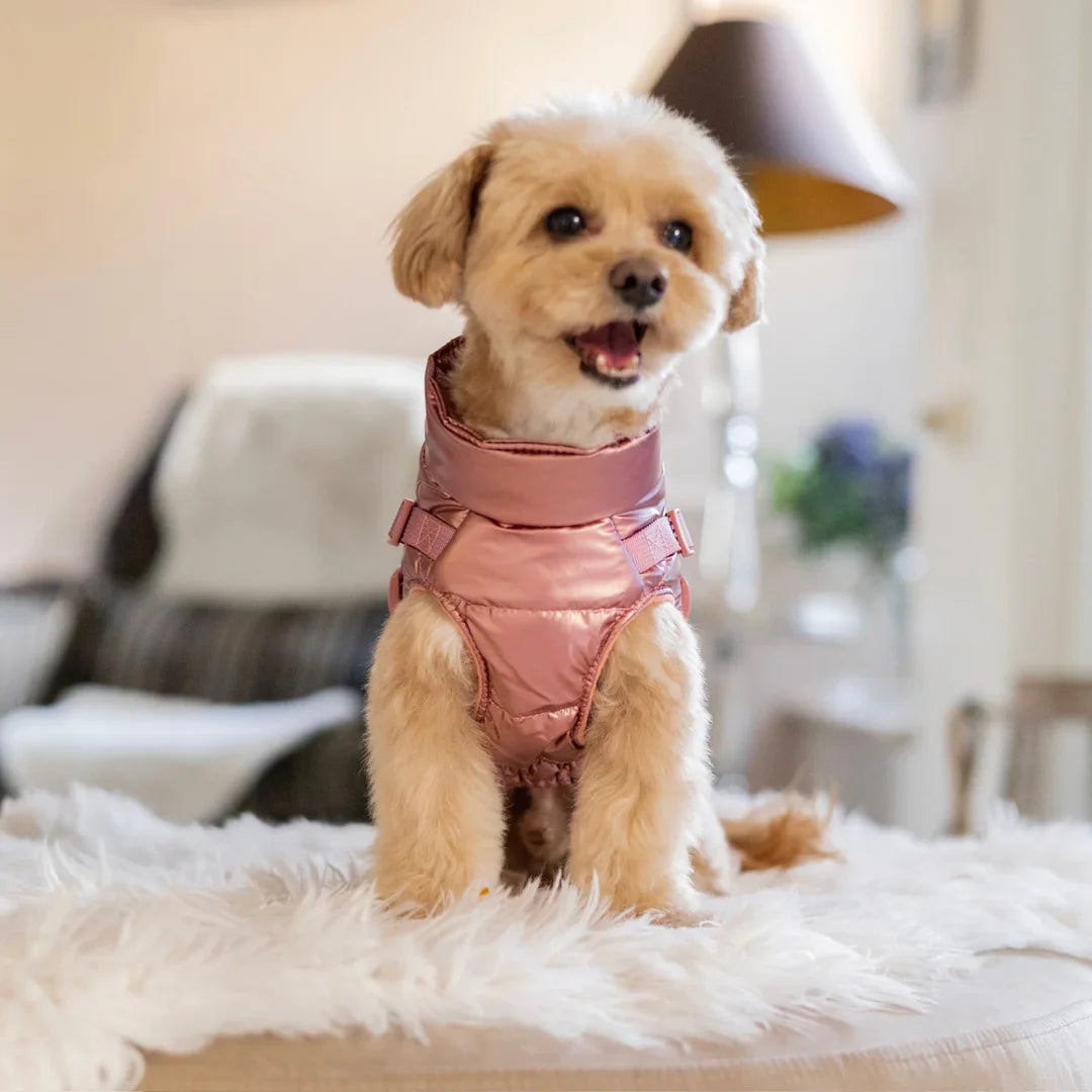 Zimní bunda pro psa 2v1 – zateplená a voděodolná - růžová