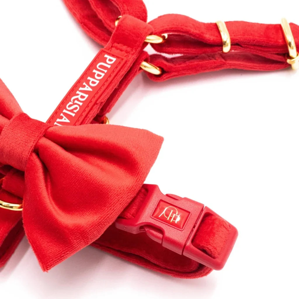 Sametový postroj typu guard pro psa s mašlí 2.0 – červený