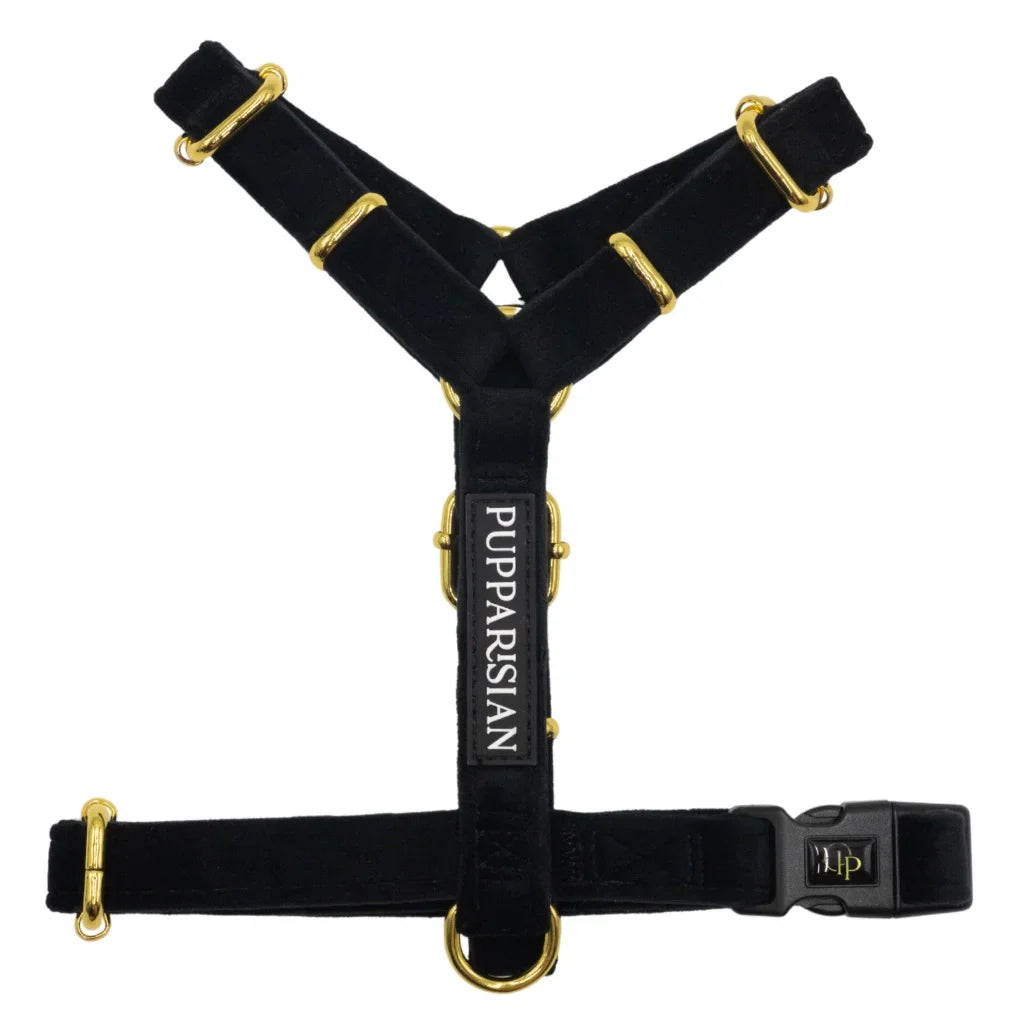 Sametový postroj typu guard pro psa s mašlí 2.0 – černý