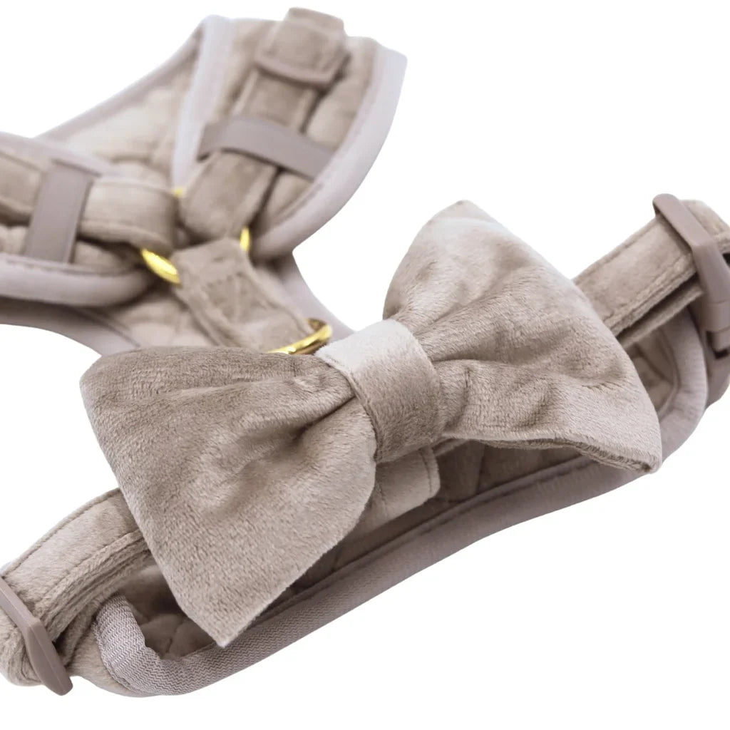 Sametový beztlakový postroj pro psa – béžový