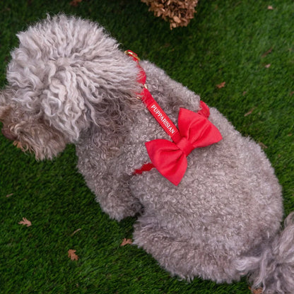 Sametový postroj typu guard pro psa s mašlí 2.0 – červený