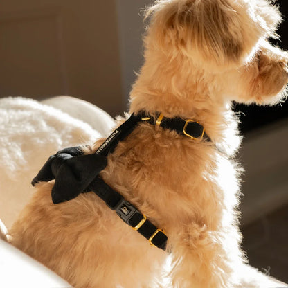 Sametový postroj typu guard pro psa 2.0 – černý