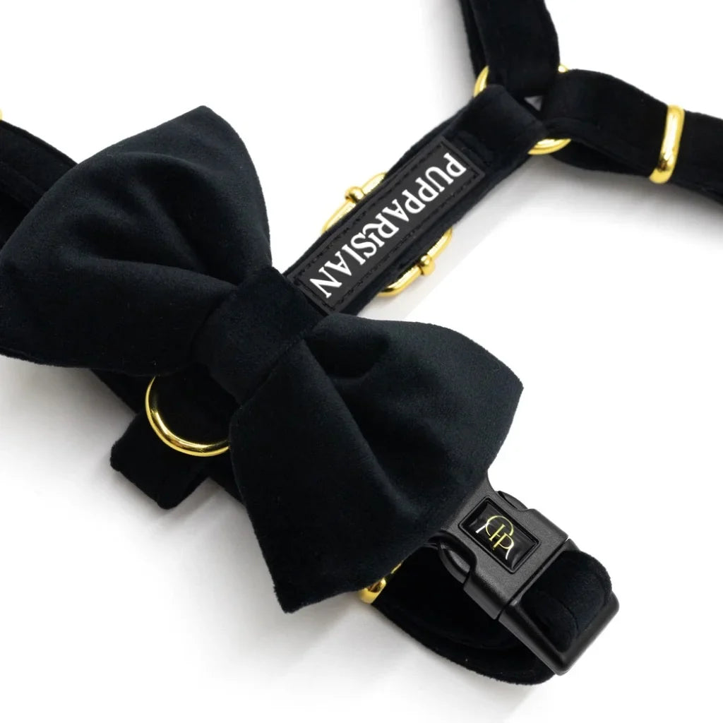 Sametový postroj typu guard pro psa s mašlí 2.0 – černý
