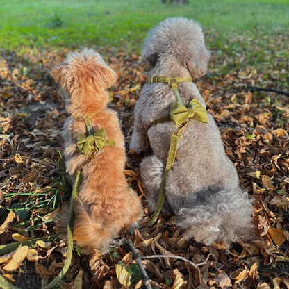 Sametový postroj typu guard pro psa 2.0 – olivově zelený