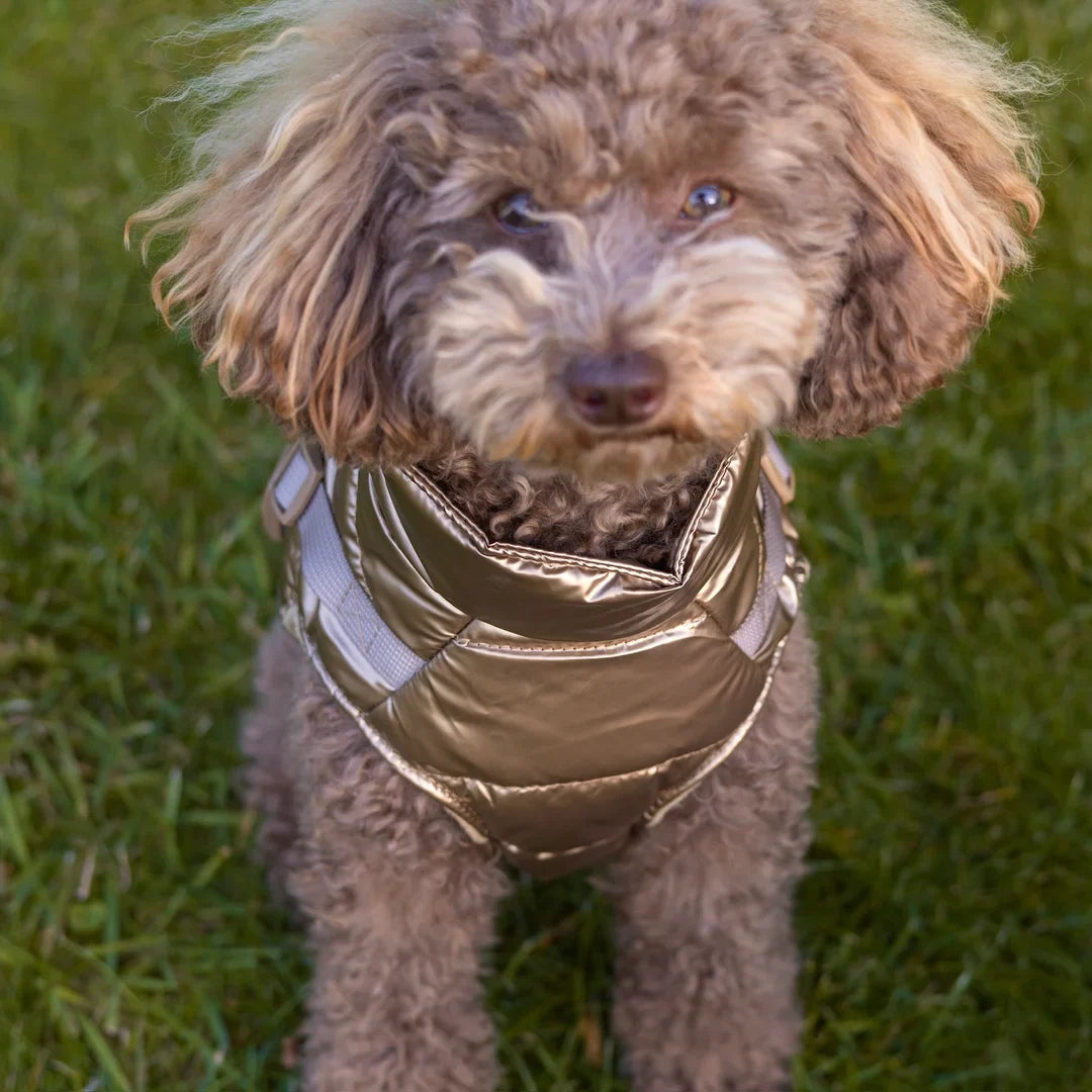 Kurtka dla psa zimowa 2w1 ocieplana wodoodporna - Złota