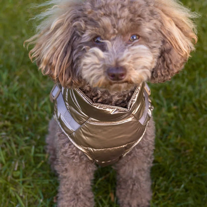 Kurtka dla psa zimowa 2w1 ocieplana wodoodporna - Złota