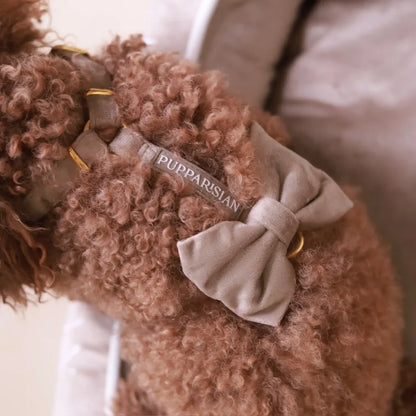 Sametový postroj typu guard pro psa s mašlí – béžový