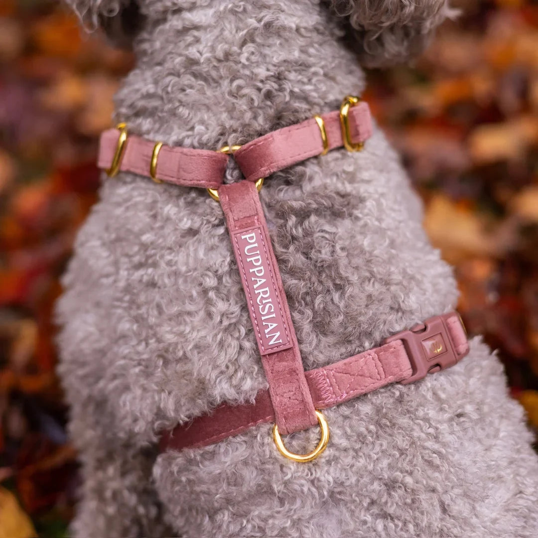 Welurowe szelki guard dla psa 2.0 - ceglasty róż