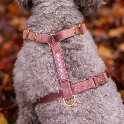 Welurowe szelki guard dla psa z kokardą 2.0 - ceglasty róż