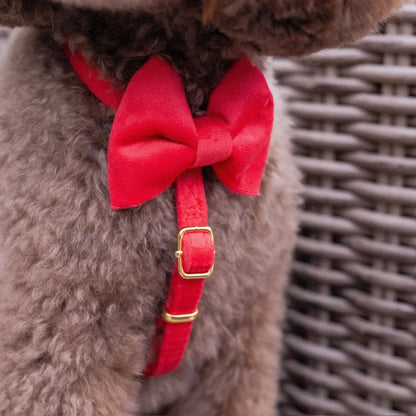 Sametový postroj typu guard pro psa s mašlí 2.0 – červený