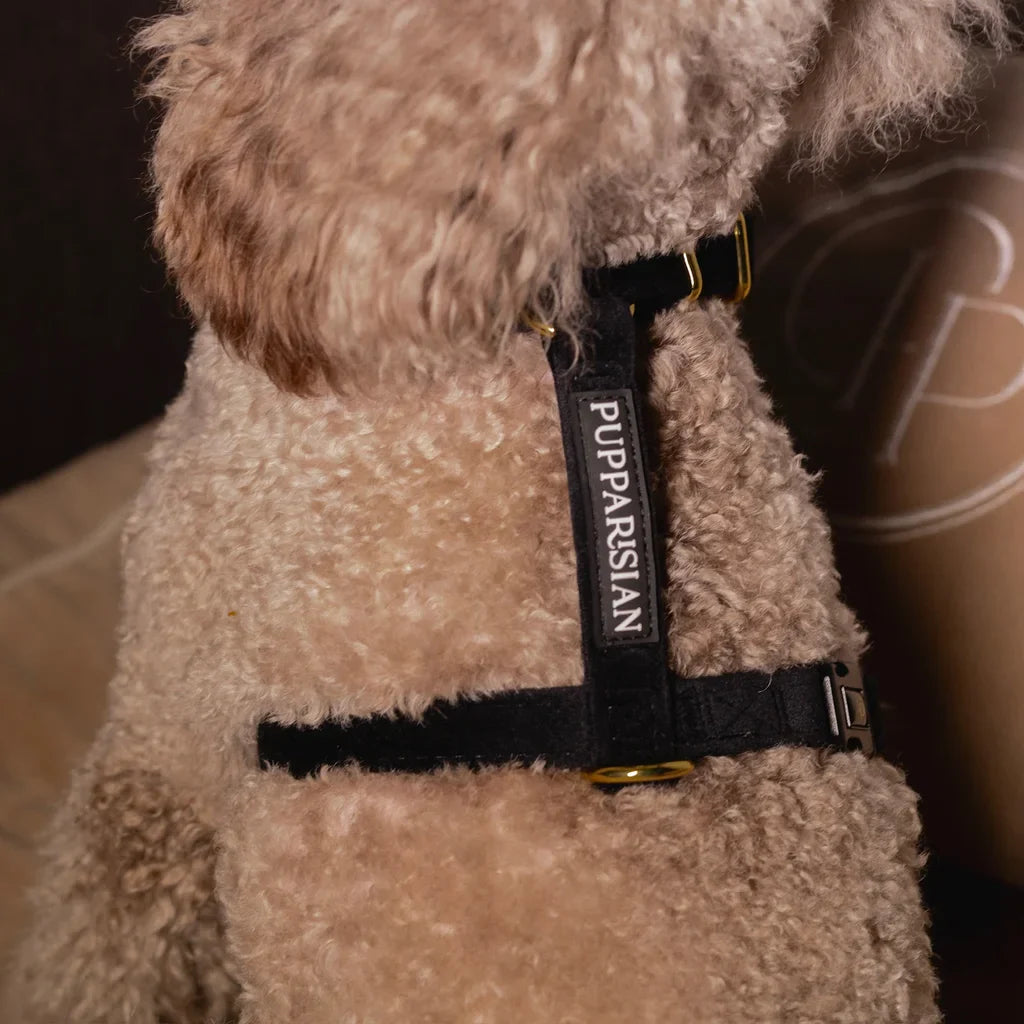 Sametový postroj typu guard pro psa s mašlí 2.0 – černý