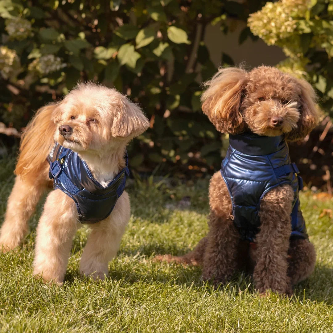 Kurtka dla psa zimowa 2w1 ocieplana wodoodporna - Granatowa