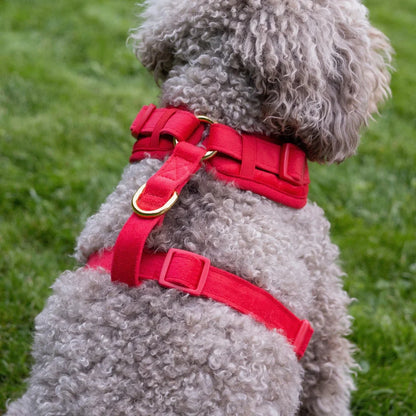 Sametový beztlakový postroj pro psa 2.0 – červený