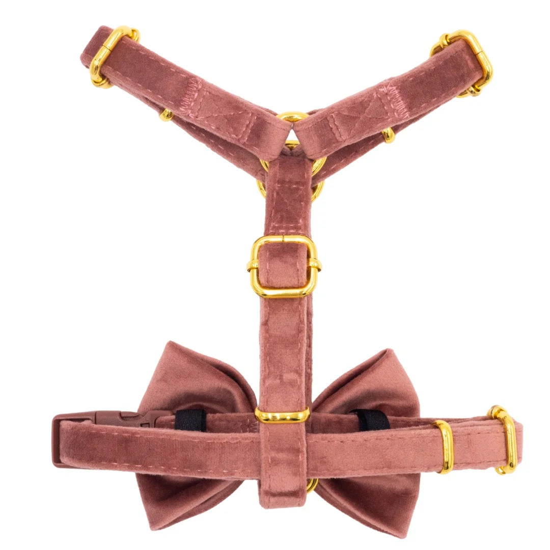 Welurowe szelki guard dla psa z kokardą 2.0 - ceglasty róż