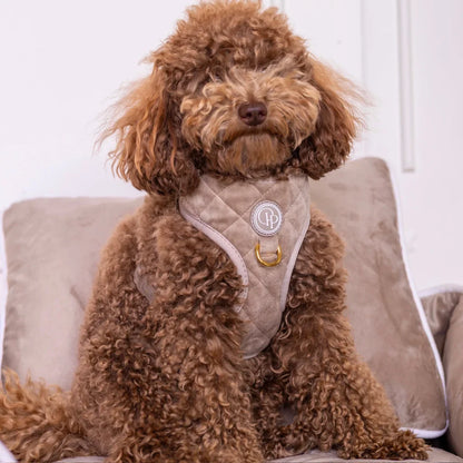 Sametový beztlakový postroj pro psa – béžový