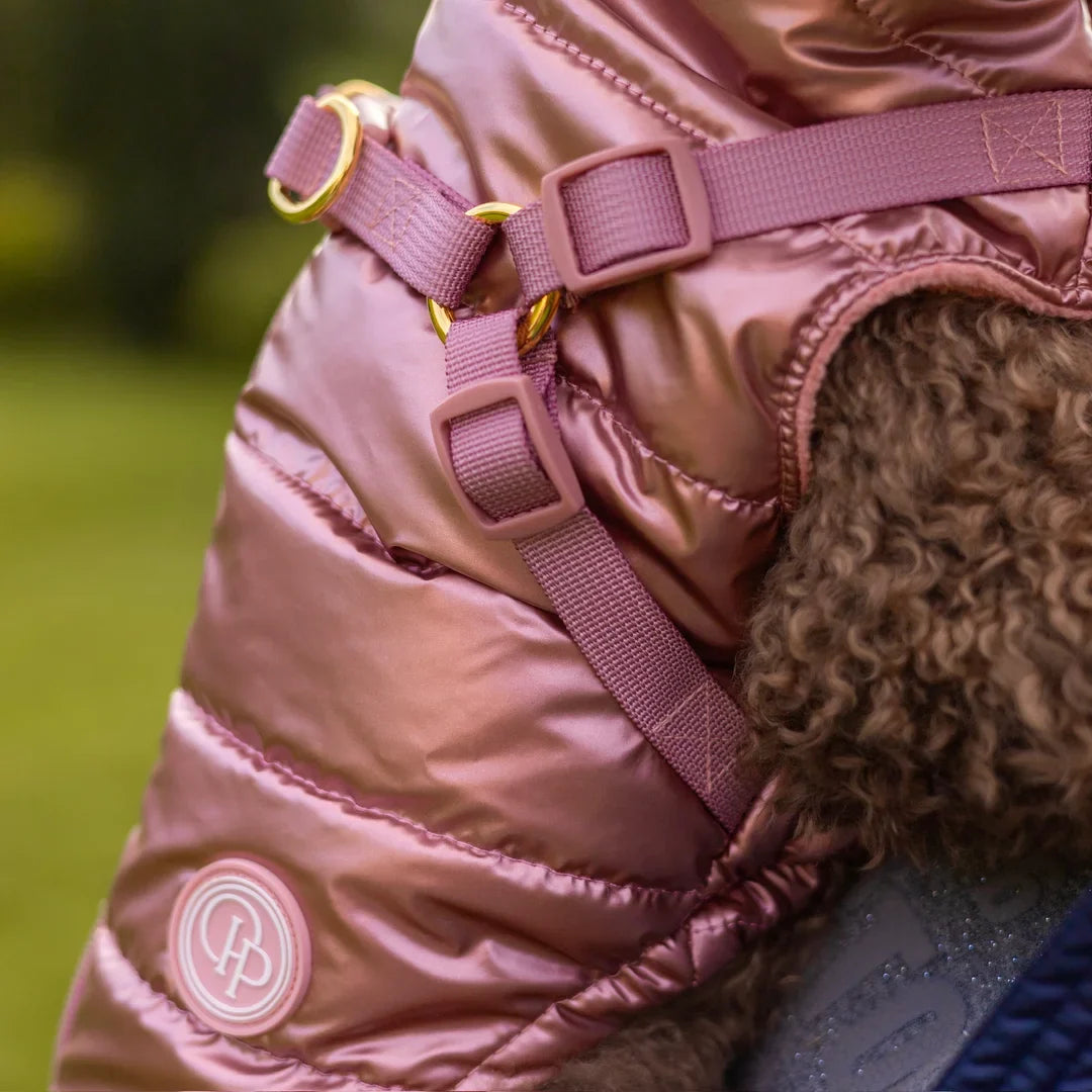 Zimní bunda pro psa 2v1 – zateplená a voděodolná - růžová