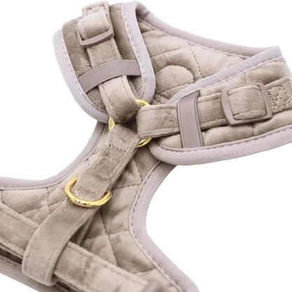 Sametový beztlakový postroj pro psa – béžový