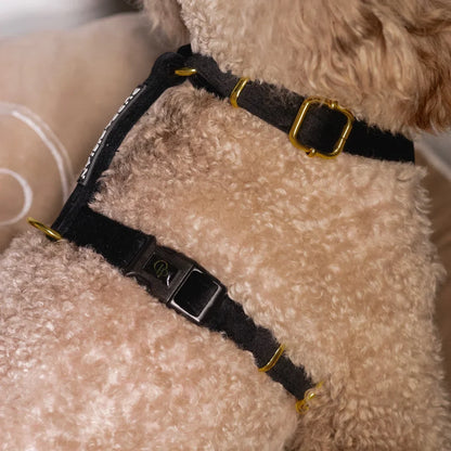 Sametový postroj typu guard pro psa 2.0 – černý