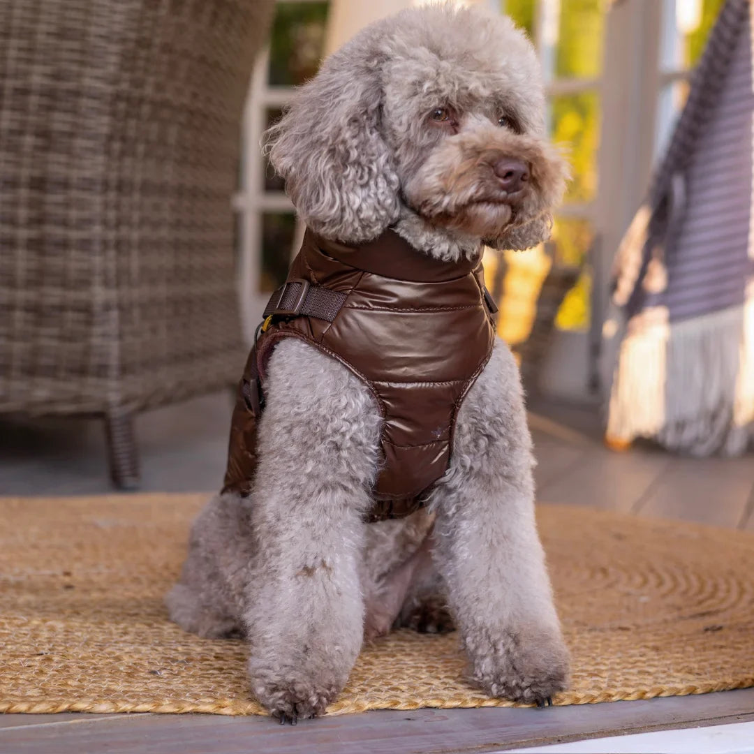 Kurtka dla psa zimowa 2w1 ocieplana wodoodporna - Brązowa