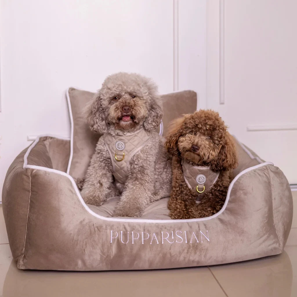 Sametový beztlakový postroj pro psa – béžový