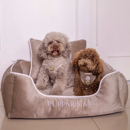 Sametový beztlakový postroj pro psa – béžový