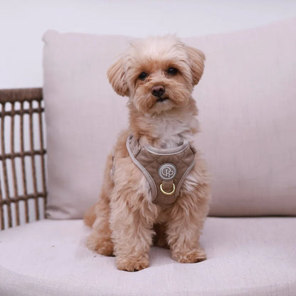 Sametový beztlakový postroj pro psa – béžový