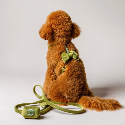 Sametový postroj typu guard pro psa s mašlí 2.0 – olivově zelený