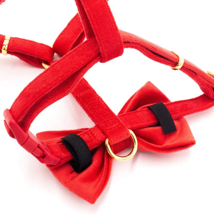 Sametový postroj typu guard pro psa 2.0 – červený