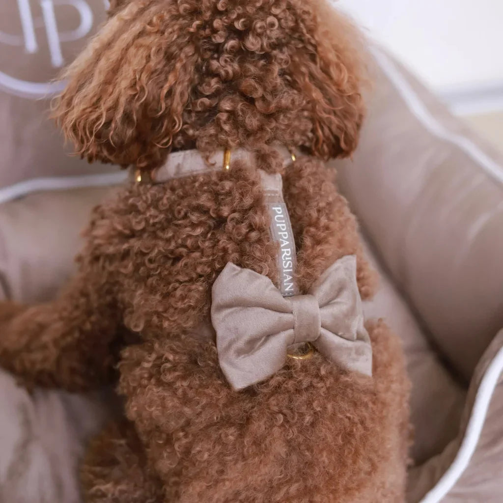 Sametový postroj typu guard pro psa – béžový