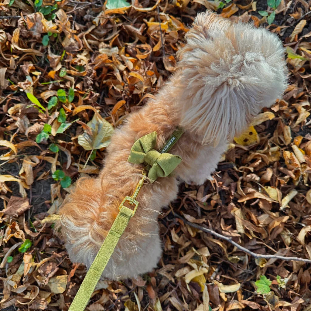 Sametový postroj typu guard pro psa s mašlí 2.0 – olivově zelený