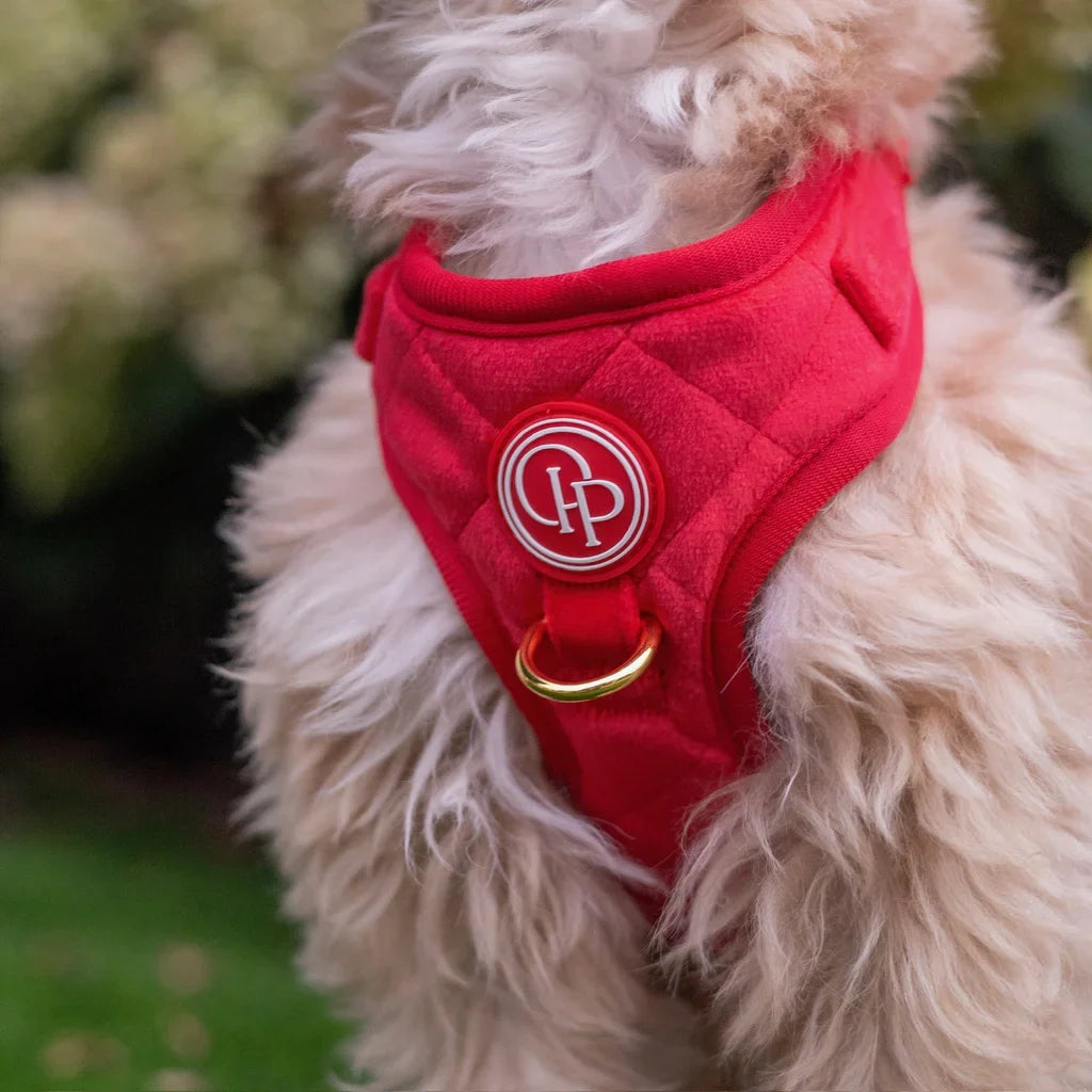 Sametový beztlakový postroj pro psa 2.0 – červený