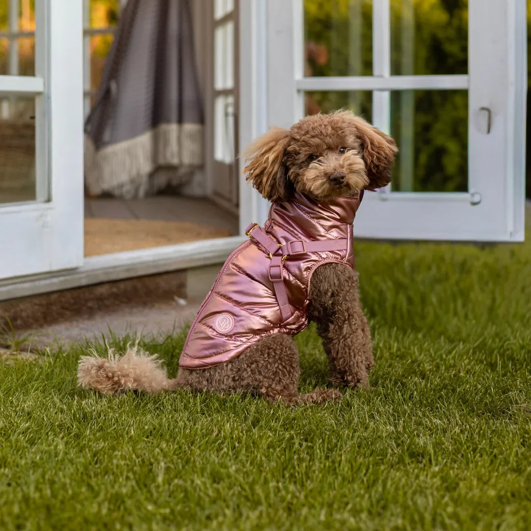 Zimní bunda pro psa 2v1 – zateplená a voděodolná - růžová