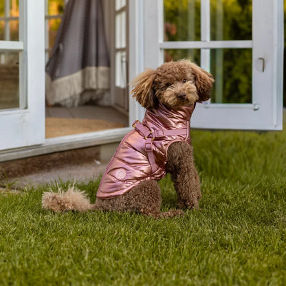 Zimní bunda pro psa 2v1 – zateplená a voděodolná - růžová