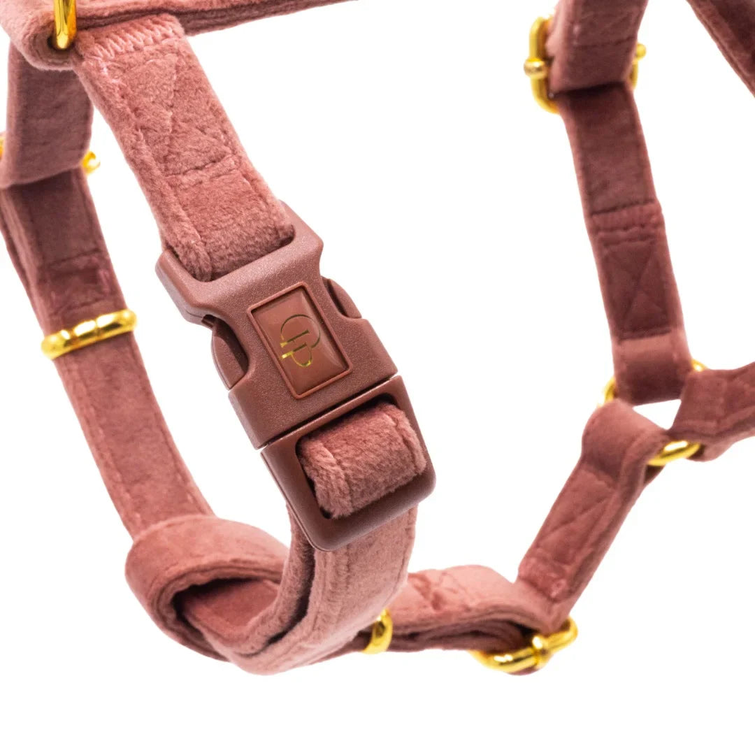 Welurowe szelki guard dla psa z kokardą 2.0 - ceglasty róż