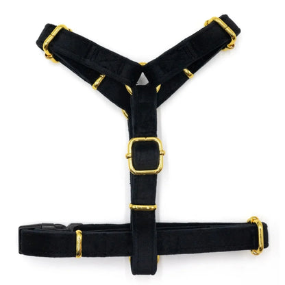 Sametový postroj typu guard pro psa 2.0 – černý