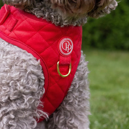 Sametový beztlakový postroj pro psa 2.0 – červený