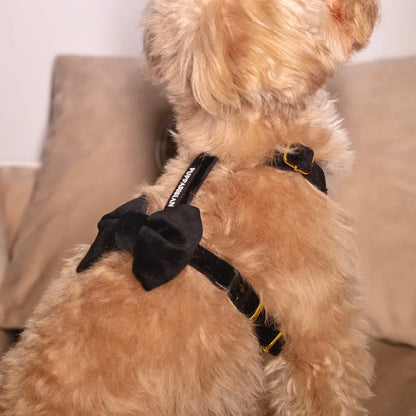 Sametový postroj typu guard pro psa 2.0 – černý