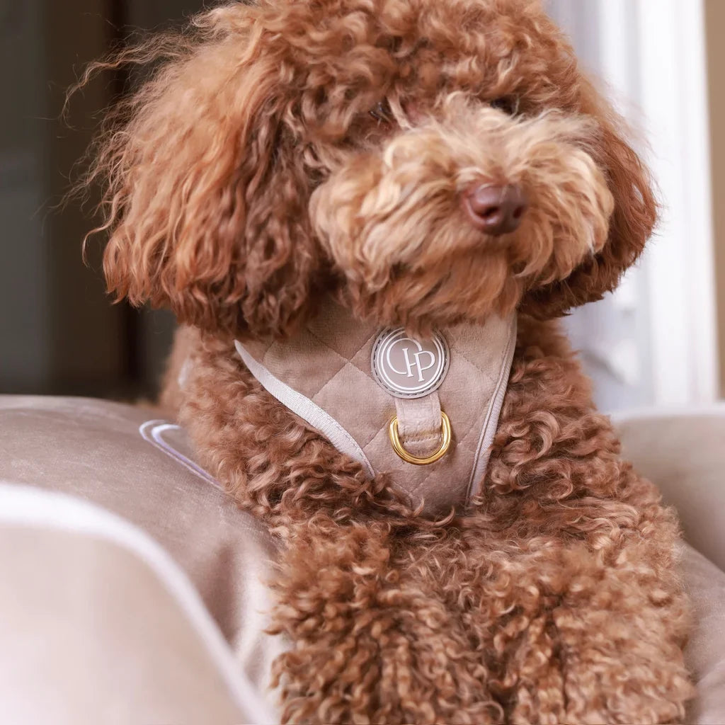 Sametový beztlakový postroj pro psa – béžový