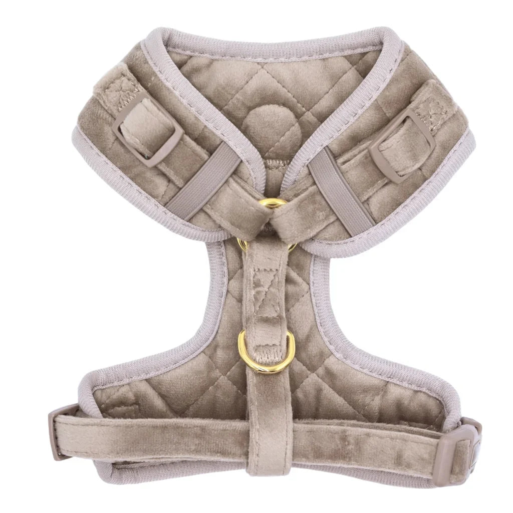 Sametový beztlakový postroj pro psa – béžový