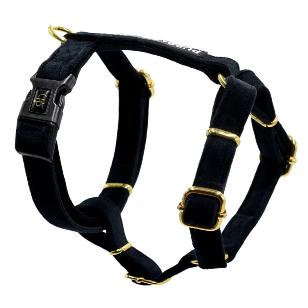 Sametový postroj typu guard pro psa 2.0 – černý
