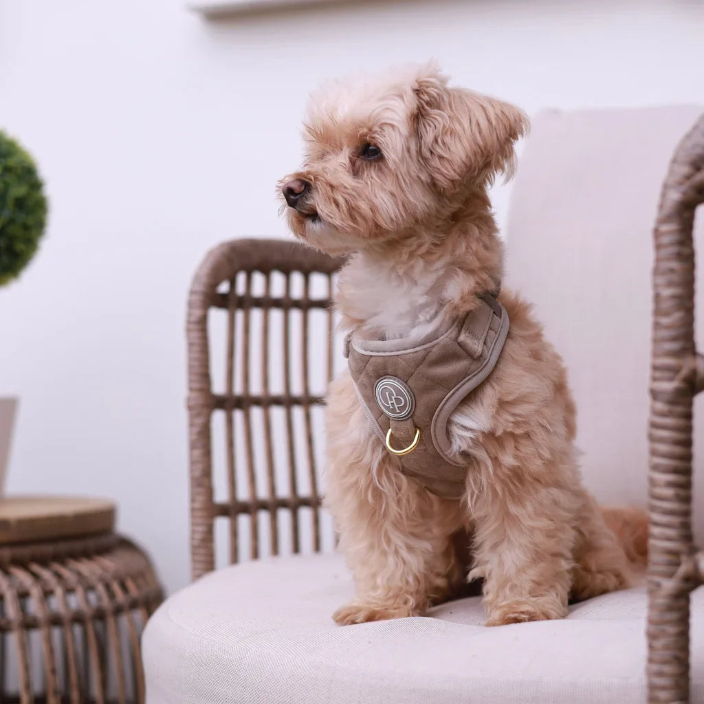 Sametový beztlakový postroj pro psa – béžový