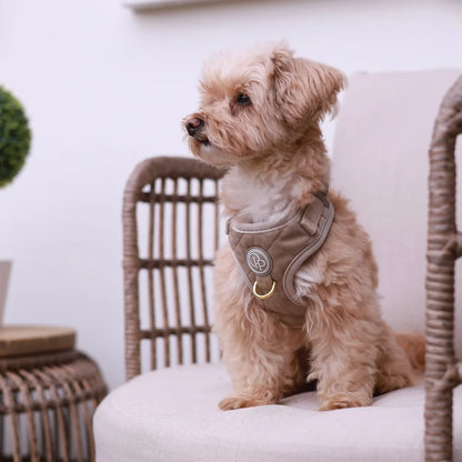 Sametový beztlakový postroj pro psa – béžový