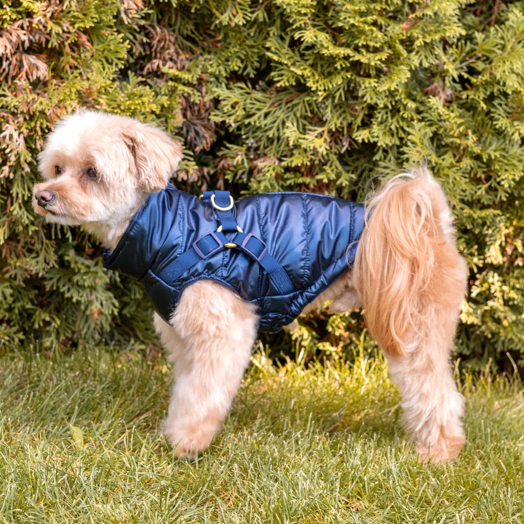 Kurtka dla psa zimowa 2w1 ocieplana wodoodporna - Granatowa