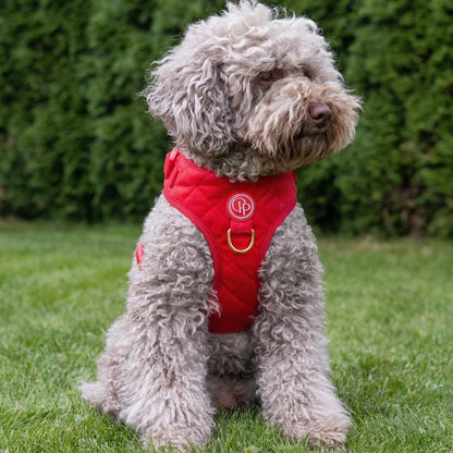 Sametový beztlakový postroj pro psa 2.0 – červený