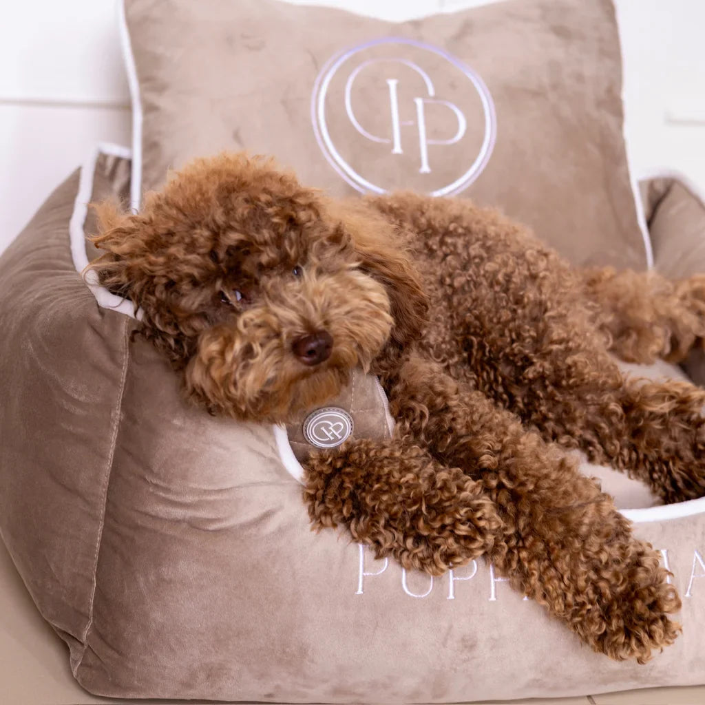 Sametový pelíšek pro psa – béžový