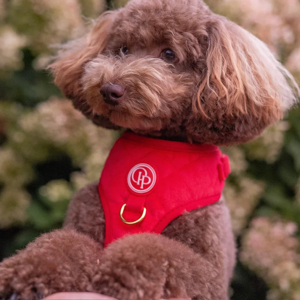 Sametový beztlakový postroj pro psa 2.0 – červený