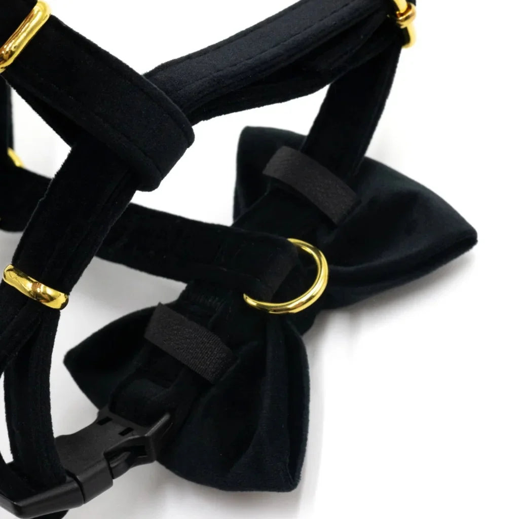 Sametový postroj typu guard pro psa 2.0 – černý