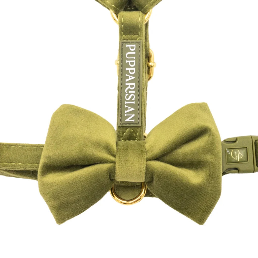 Sametový postroj typu guard pro psa s mašlí 2.0 – olivově zelený