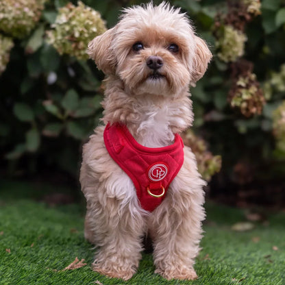 Sametový beztlakový postroj pro psa 2.0 – červený