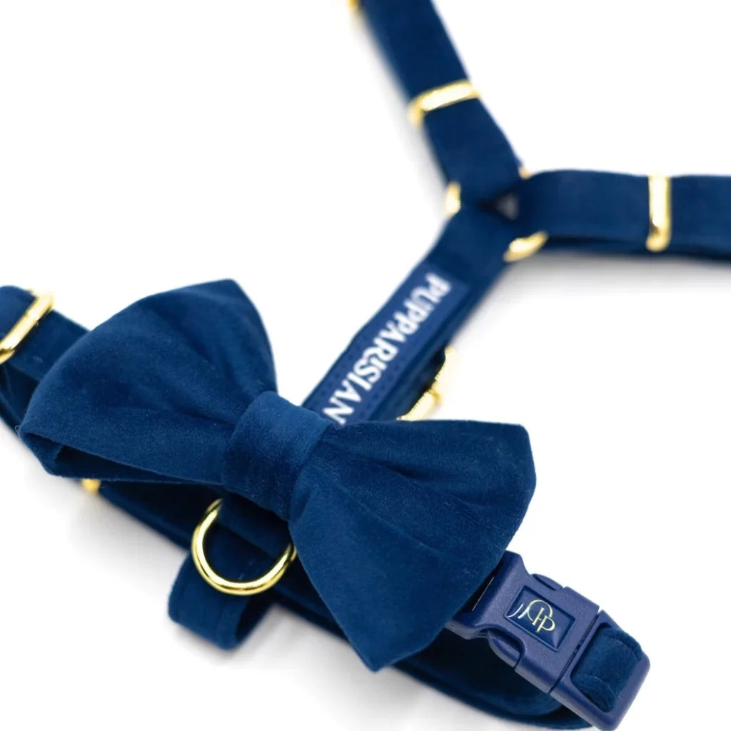 Sametový postroj typu guard pro psa s mašlí – tmavě modrý